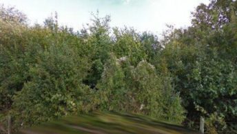 Appleshaw in Andover