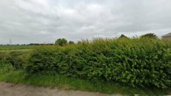 Audley End in Saffron Walden