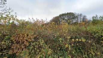 Awliscombe in Honiton