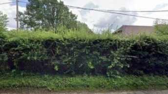 Axmansford in Tadley