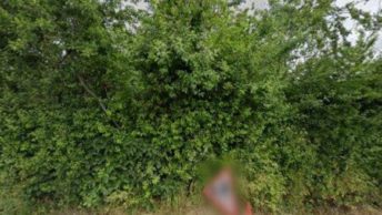 Barling Magna in Southend-On-Sea