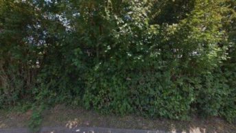 Barnt Green in Birmingham