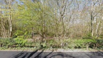 Benenden in Cranbrook