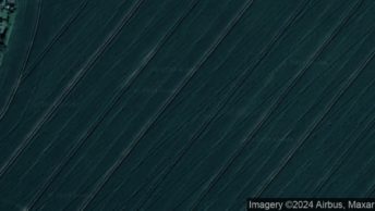 Birdbrook in Halstead