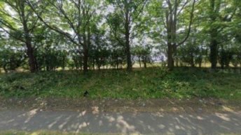 Bishop's Stortford in