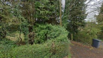 Bishops Wood in Stafford