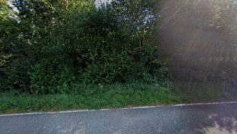 Black Dam in Basingstoke