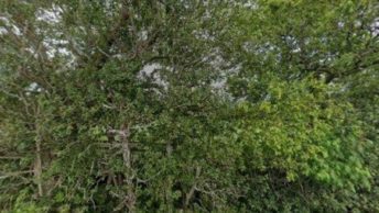 Bolton By Bowland in Clitheroe