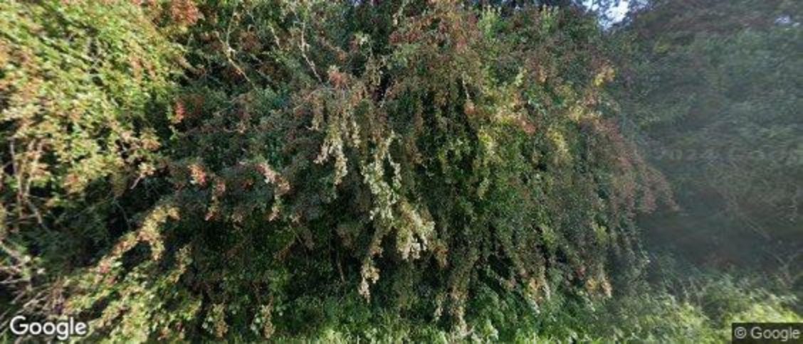 Bordean in Petersfield