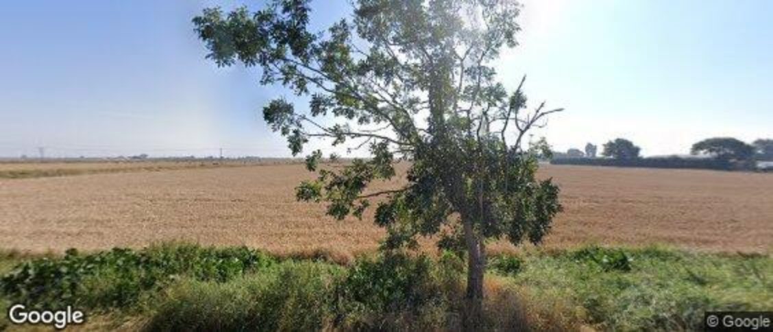 Borough Fen in Peterborough