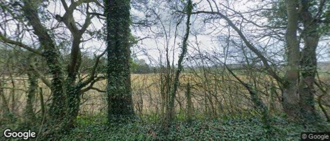 Boughton Aluph in Ashford