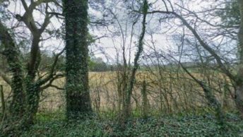Boughton Aluph in Ashford