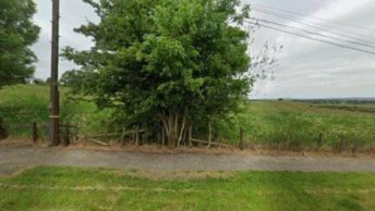 Bowlee in Manchester