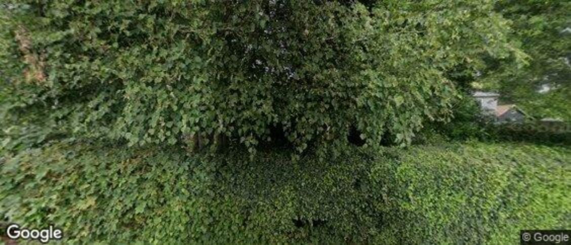 Boxted in Colchester