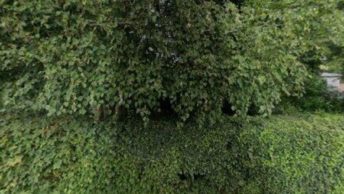 Boxted in Colchester