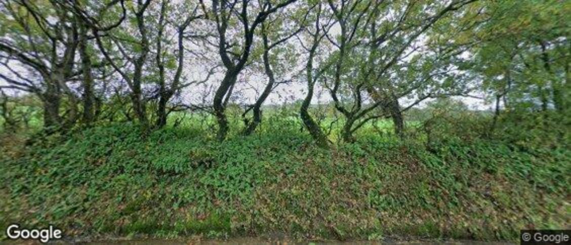 Broadhembury in Honiton