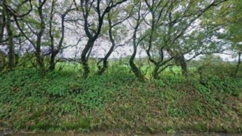 Broadhembury in Honiton