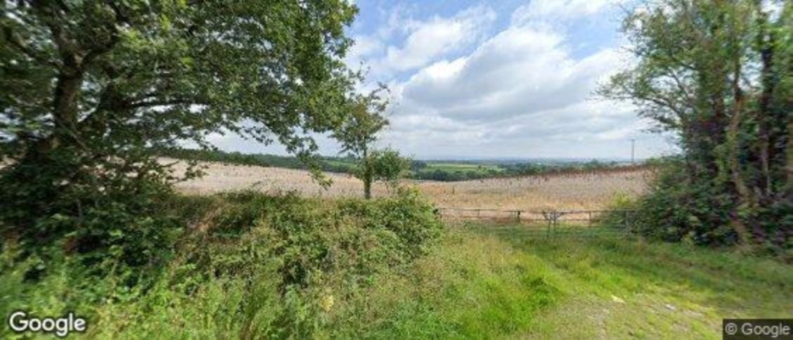 Broadwoodwidger in Lifton