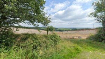Broadwoodwidger in Lifton