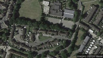 Buckskin in Basingstoke