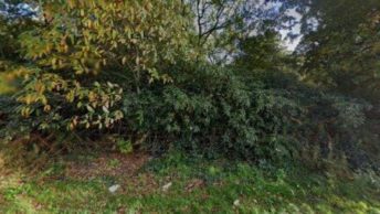 Bullbrook in Bracknell