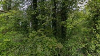 Buriton in Petersfield