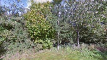 Castle Hedingham in Halstead