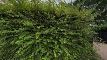 Chapmore End in Ware