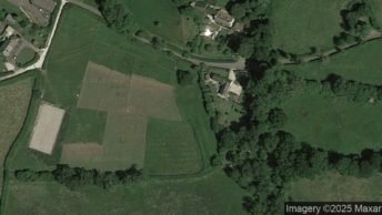 Chardstock in Axminster
