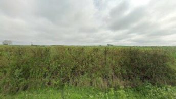 Clavering in Saffron Walden