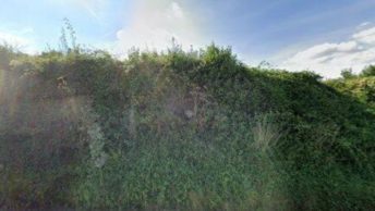 Cliddesden in Basingstoke