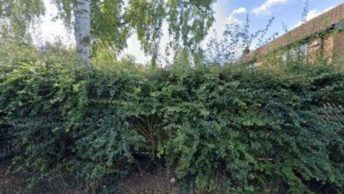 Coleorton in Coalville