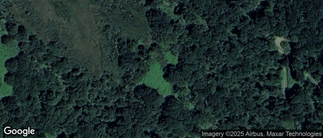 Cornwood in Ivybridge