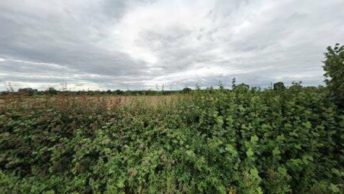 Coton in the Elms in Swadlincote