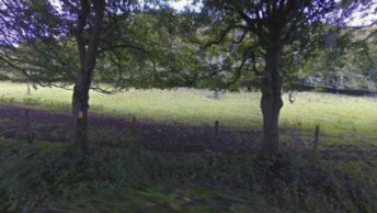 Cotton in Stoke-On-Trent