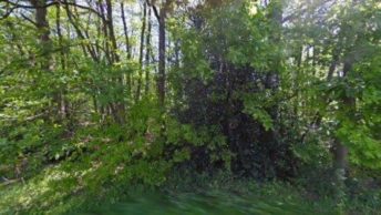 Crockleford Heath in Colchester