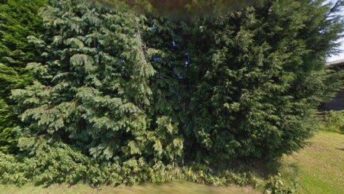 Croxden in Uttoxeter