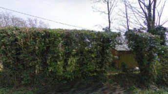 Curtisden Green in Cranbrook