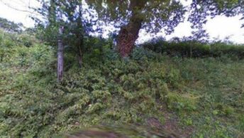 Dalbury Lees in Ashbourne