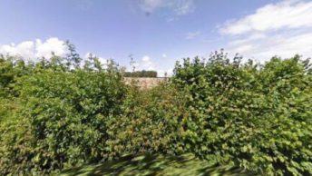 Damerham in Fordingbridge