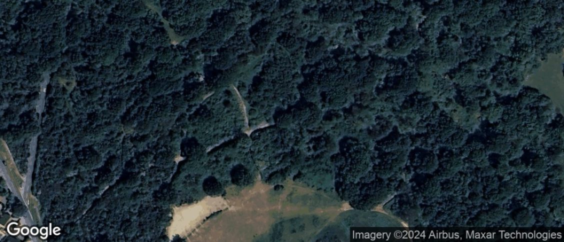 Danbury in Chelmsford