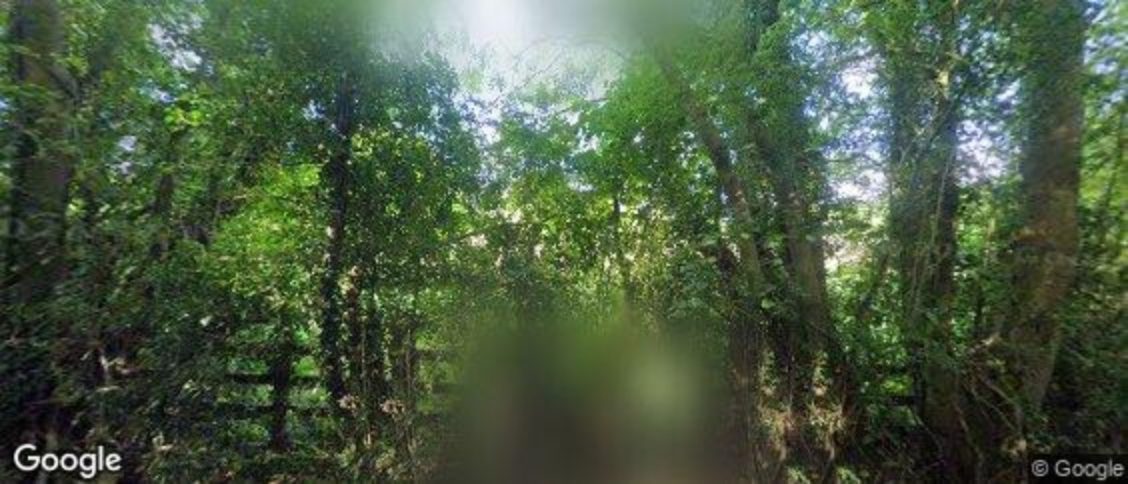 Detling in Maidstone