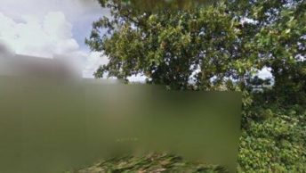 Dittisham in Dartmouth