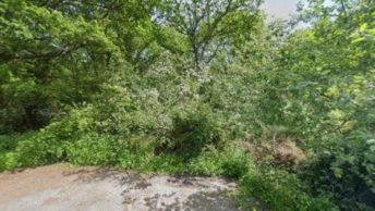 Dockenfield in Farnham