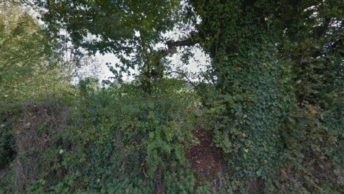 Dunton Green in Sevenoaks
