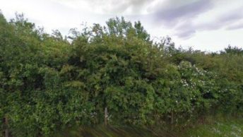 Eastchurch in Sheerness
