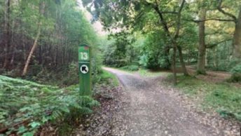 Edwinstowe in Mansfield