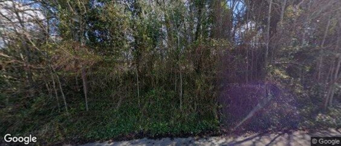 Effingham in Leatherhead