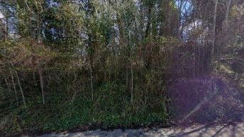 Effingham in Leatherhead