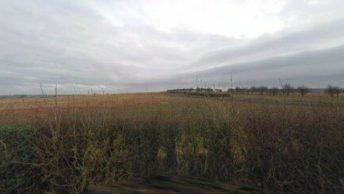 Ellingham in Chathill
